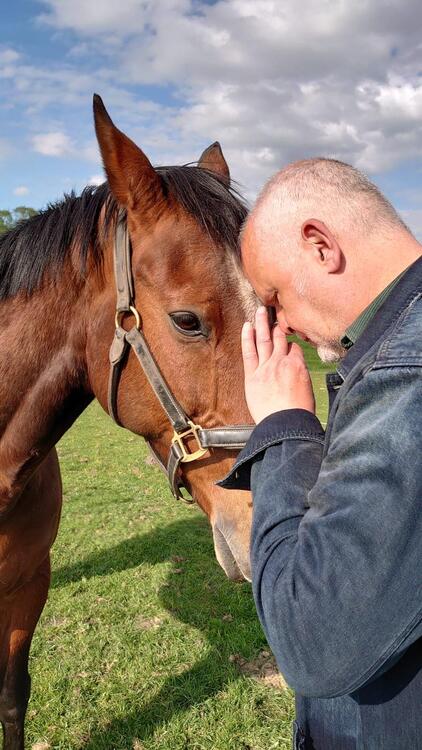 Paardencoaching bij La Vita - verbinding tussen mens en paard